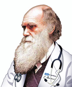 DrDarwinb